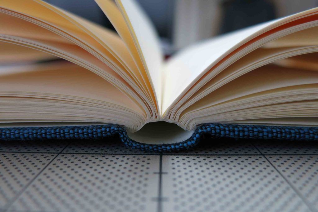 クータの有効性について考える 株式会社conservation For Identity クータの有効性について考える 株式会社conservation For Identity