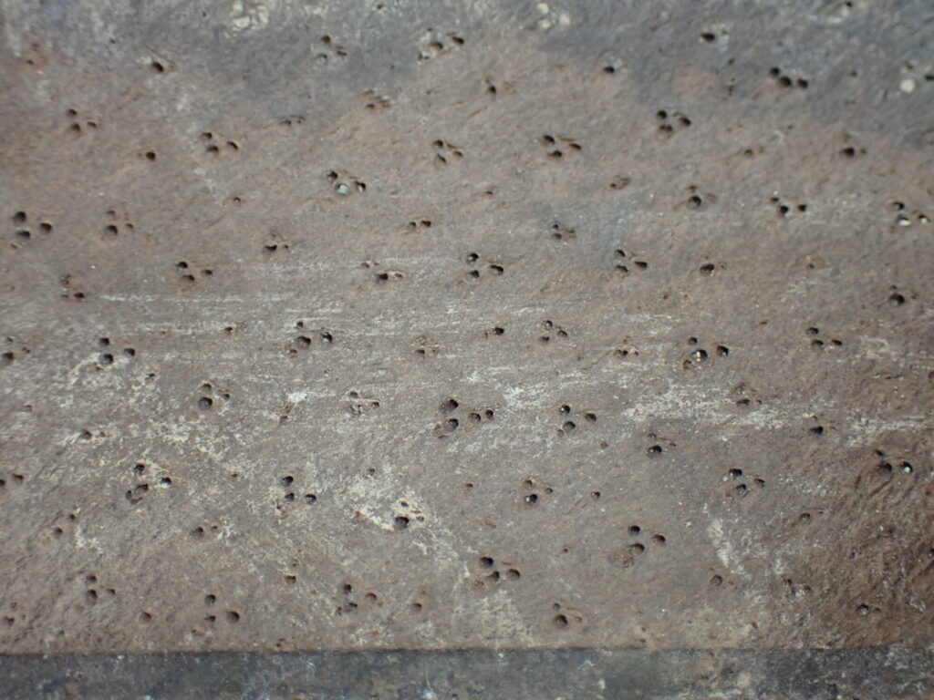 豚革装の書籍 株式会社conservation For Identity 豚革装の書籍 株式会社conservation For Identity