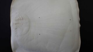 三味線の皮 | 株式会社Conservation for Identity