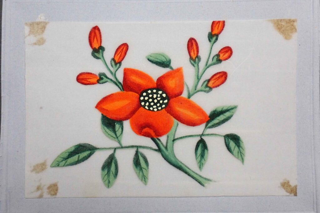 chinese pith painting01