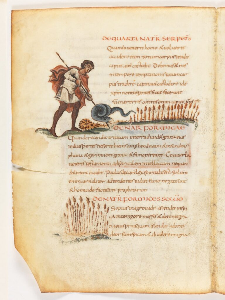 physiologus bernensis, fol.12v