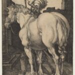 the great horse (albrecht durer)