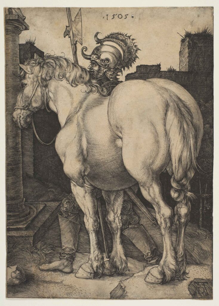 the great horse (albrecht durer)